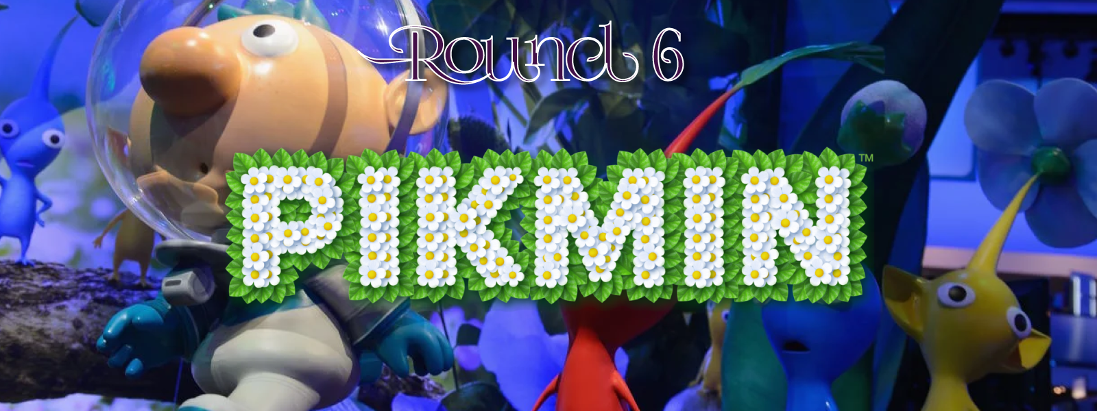 Round 6