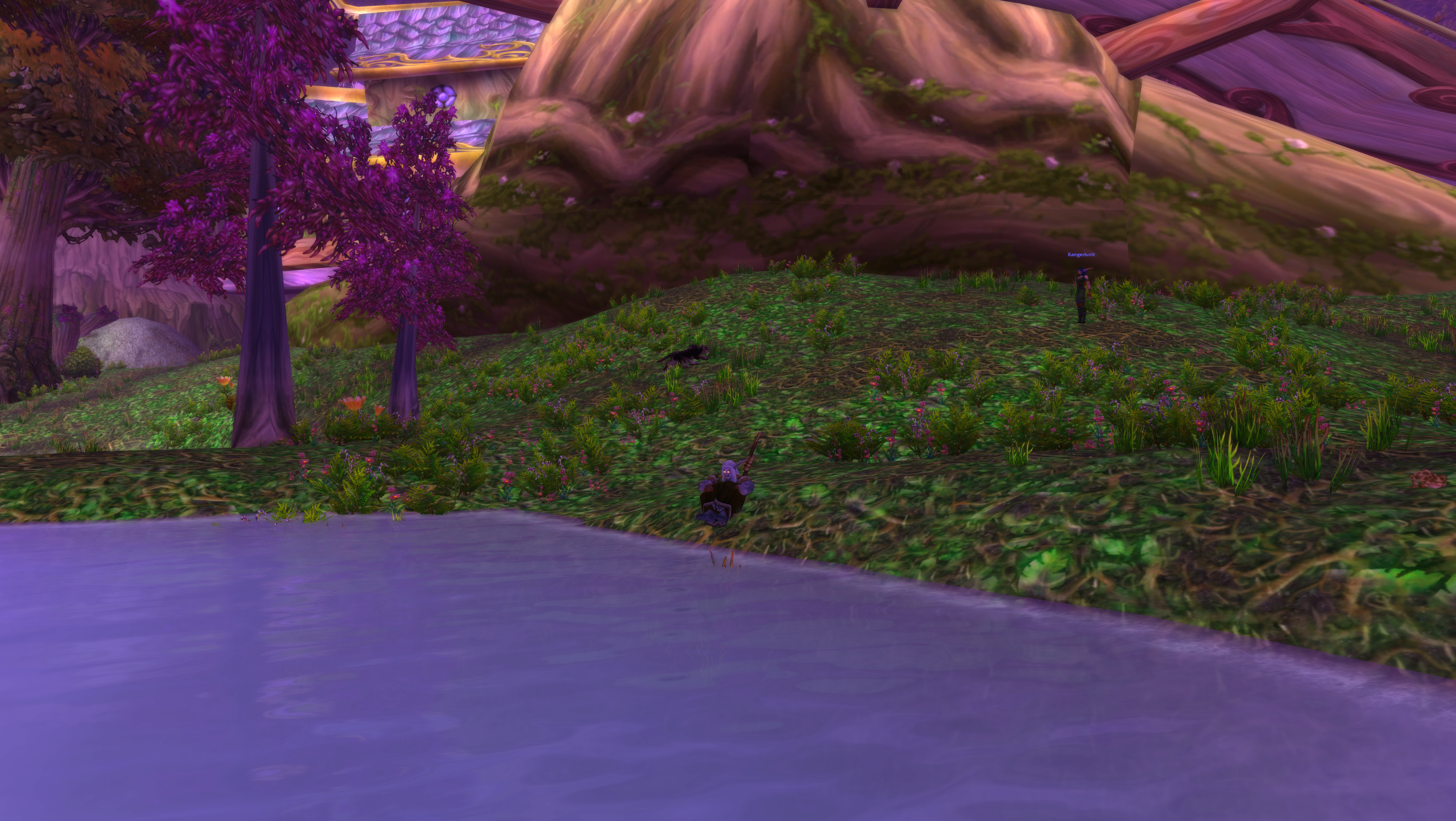 Vibing by the pond